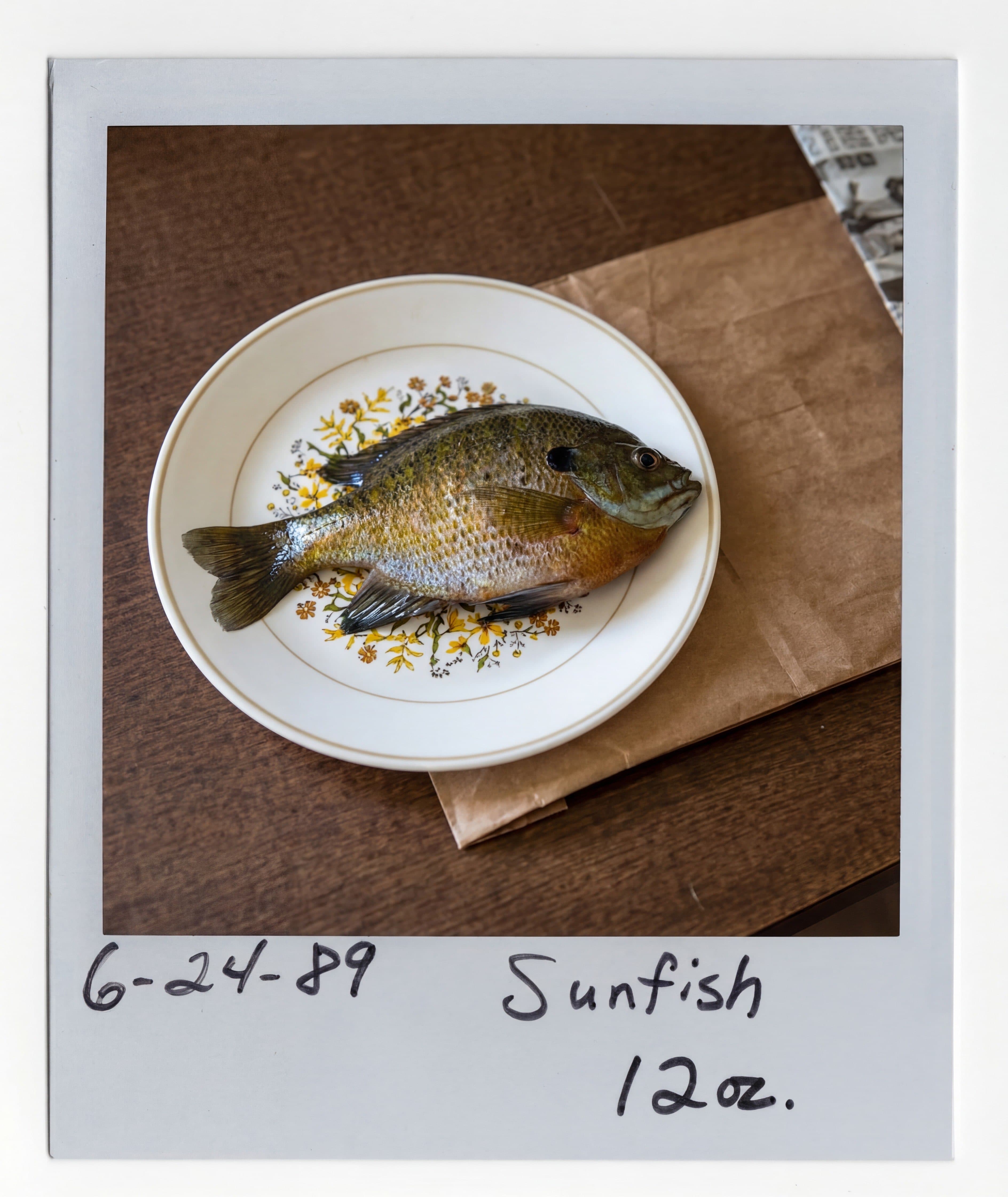 img20251205_00371678