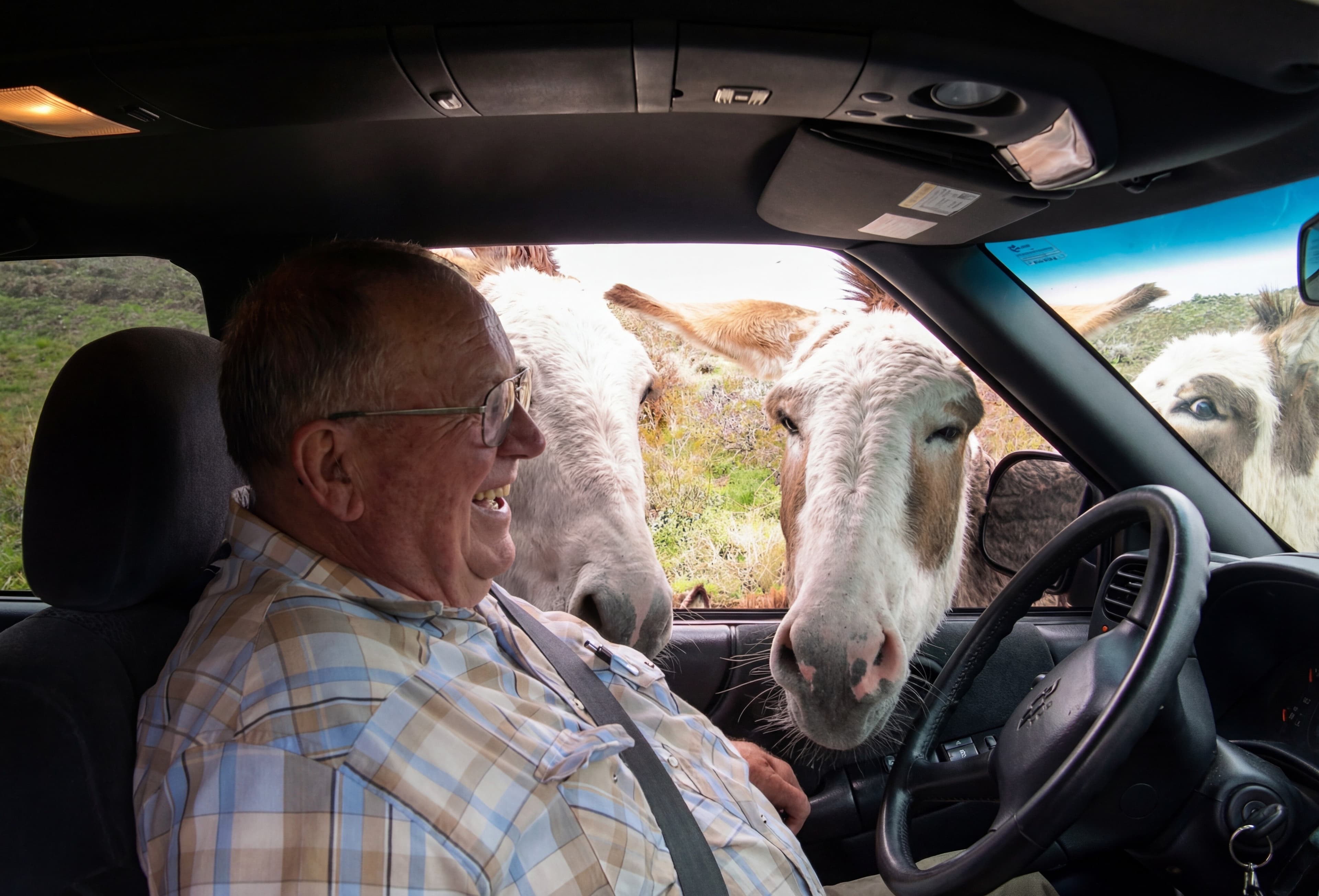 img20251205_00423919