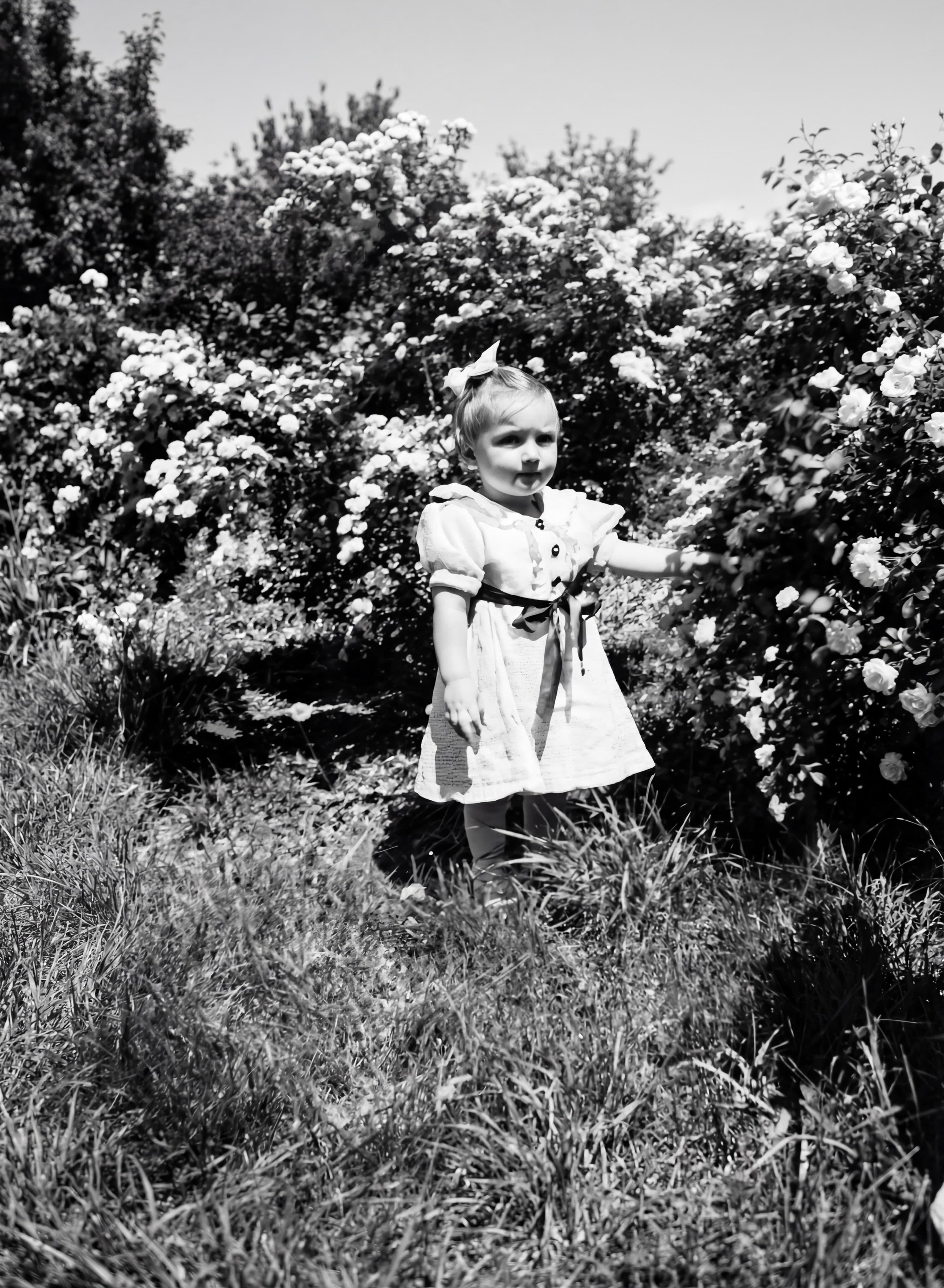 img20251204_22484081