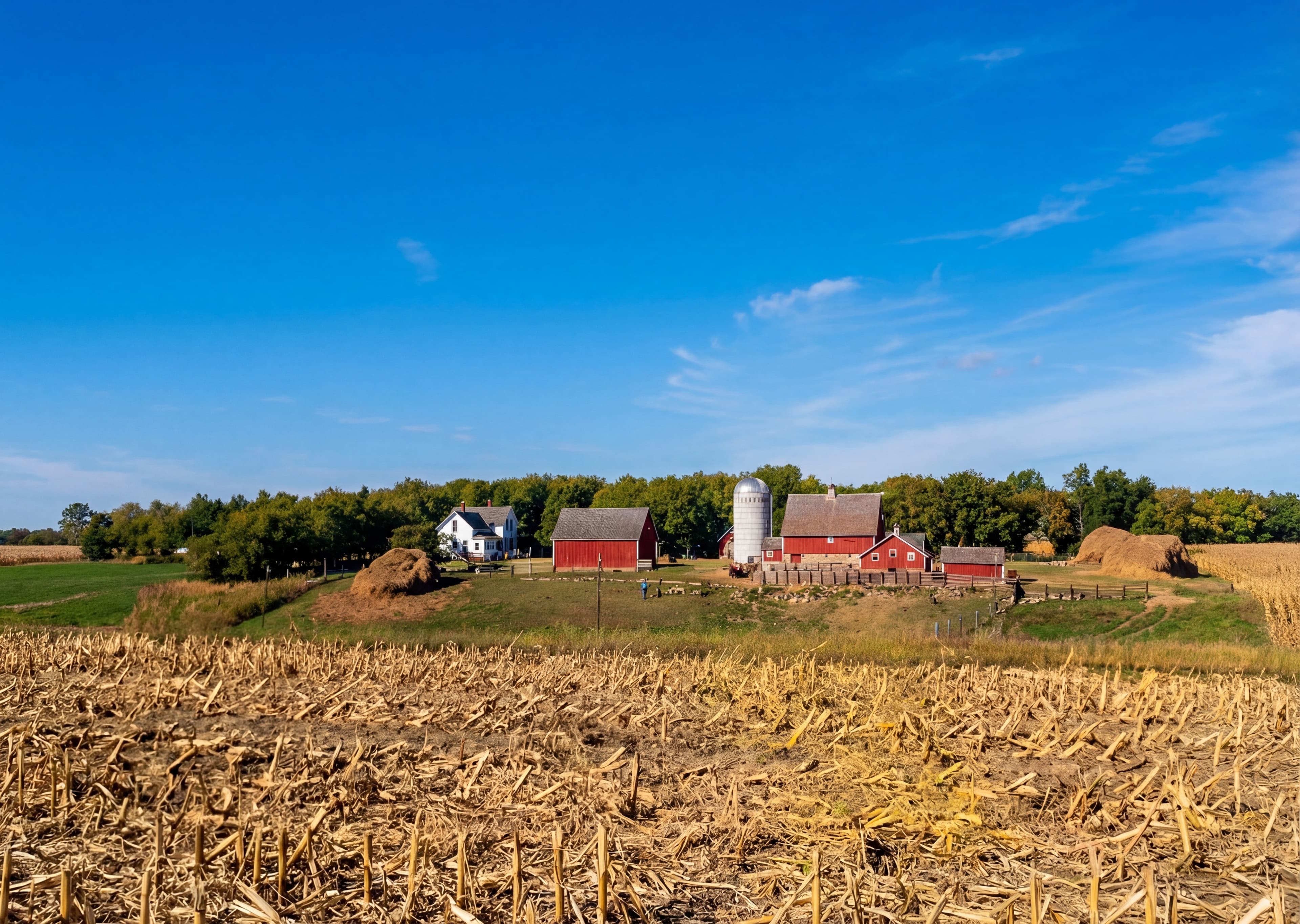 img20251204_22494181