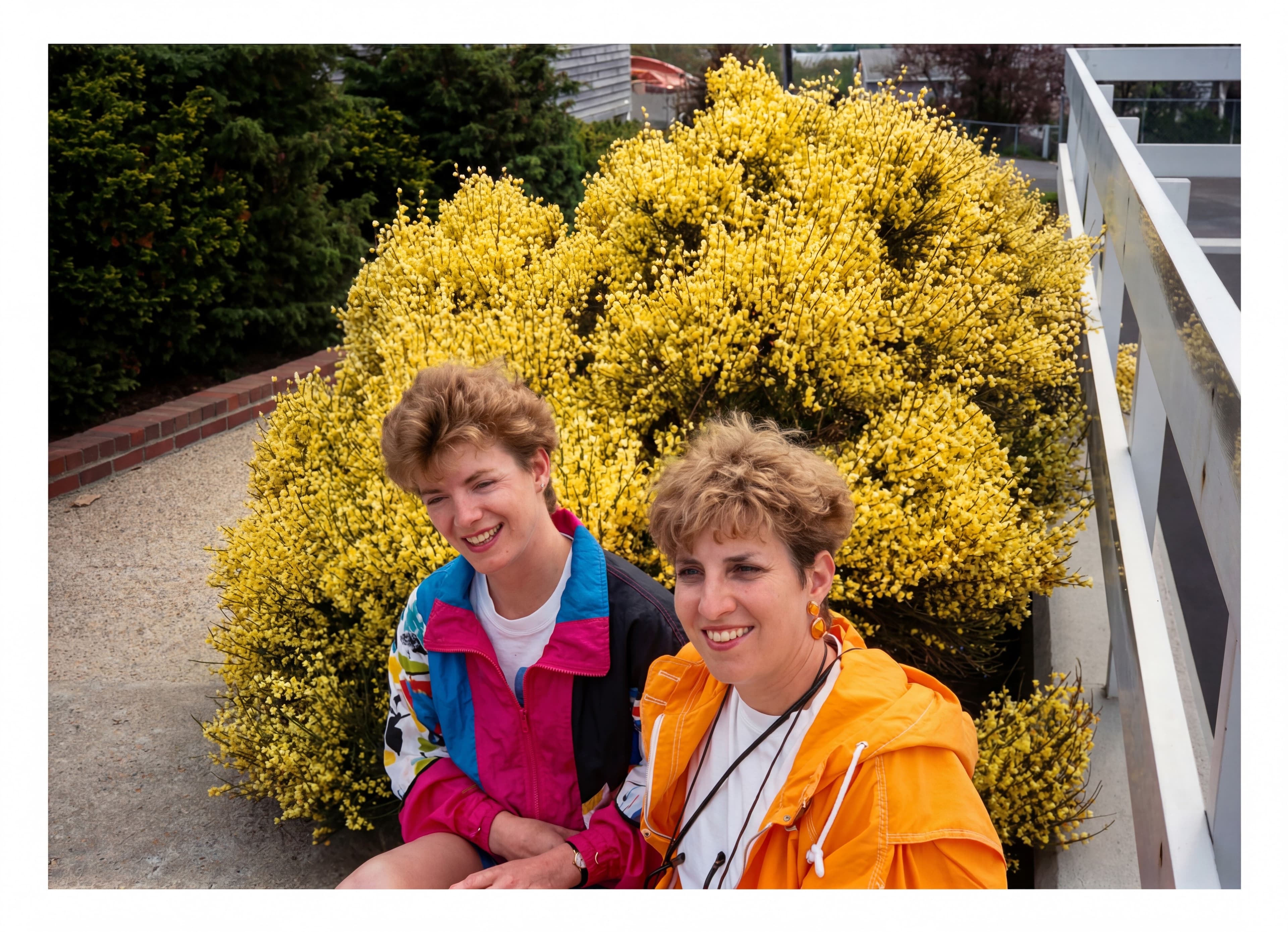 img20251205_00274157